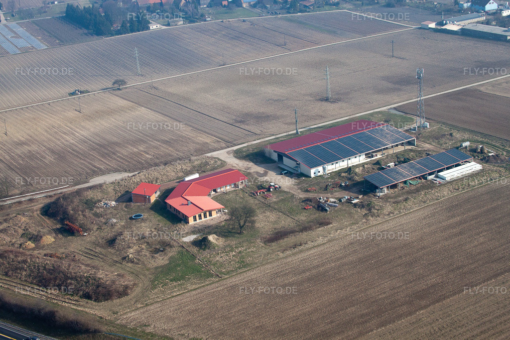 Luftbild: Eierfarm in Erlenbach bei Kandel im Bundesland Rheinland-Pfalz in Deutschland. Foto: IMG_37603.jpg vom 05.03.2011 durch Werner Riehm/FLY-FOTO.de