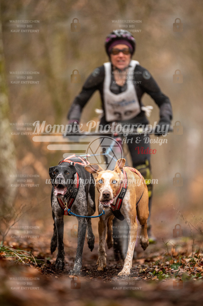 Reiat2023_SON_DS2_5km_2H-13 | mompixphotography