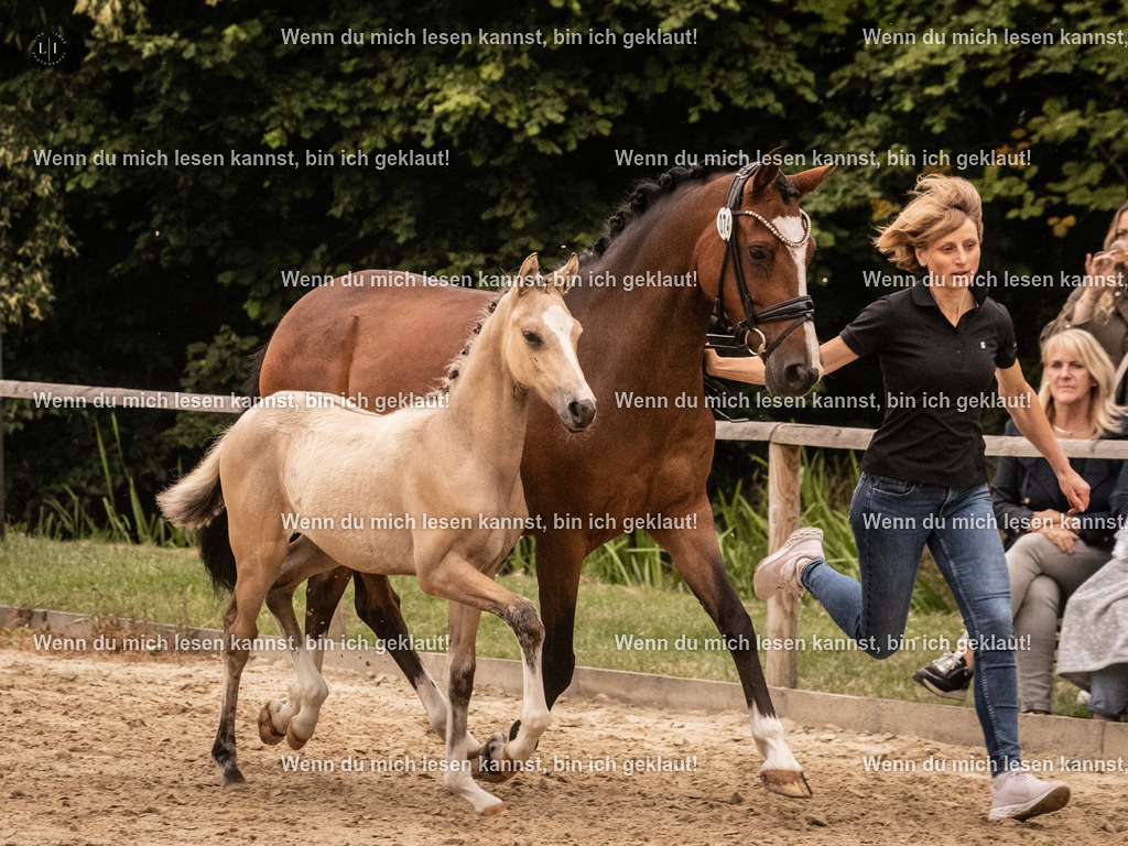 A10I3135 15.56.14 | photographylinaismer - Realisiert mit Pictrs.com