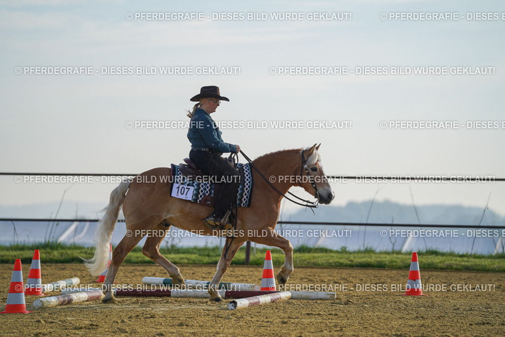 DSC00329 | Pferdegrafie