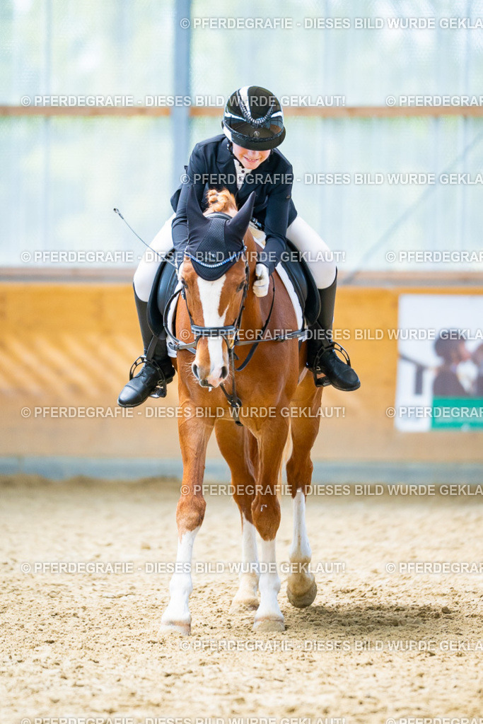 DSC09681 | Pferdegrafie