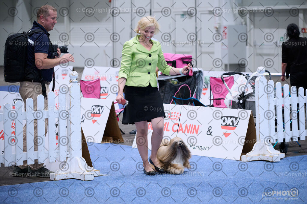 202406_ÖKV-IHA-Tulln24_NZ9_8828 | proPHOTO - Realisiert mit Pictrs.com