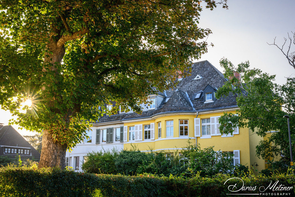 Mainz am Rhein aus Mainz-Kastel  | Bilder aus Mainz-Kastel