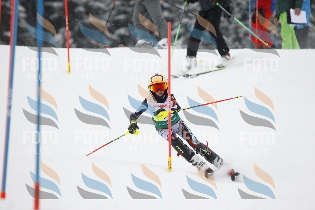 A2148 | holidayphoto