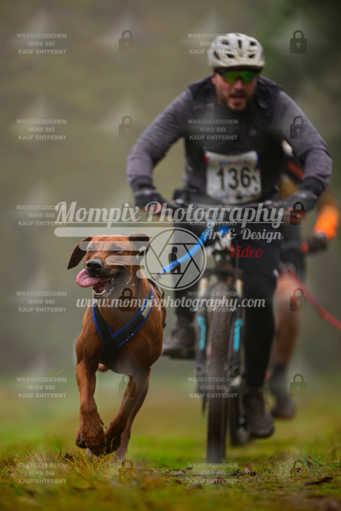 MompixPhotography_Bischwiller2025_Bike-49 | mompixphotography