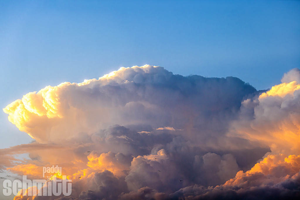 PS-Wolken-2026-32 | Entdecke die größte Bildgalerie der Region mit Fotografien aus dem Allgäu, der Bodenseeregion, Oberschwaben, dem Donautal und der Schwäbischen Alb. Landschaften, Luftaufnahmen und Reisefotografie als Wandbild und Fotokunst. - Realisiert mit Pictrs.com
