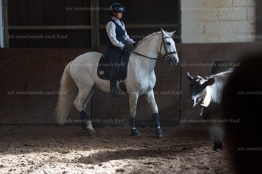 WM_COW_142_SinaFilmArt_IN05123 | working equitationturnier fotograf videograf stoibphotography marixx film working equitation deutschland reitsport turnierfotografie eventfotografie equestrian events