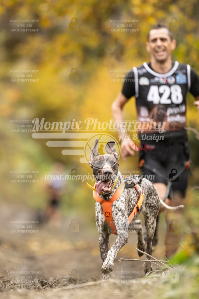 MompixPhotography_ICF_WC_2024_SA_Run_-416 | PayLife
