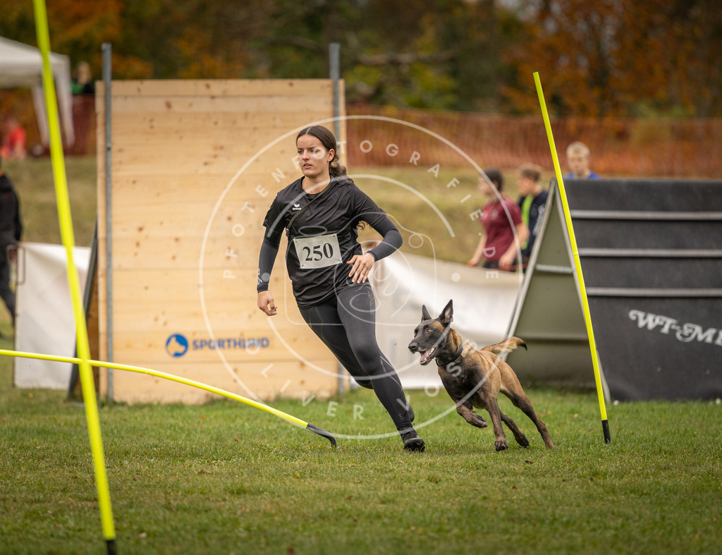Pfotenfotografie_DV3A6043 | Hundefotografie, Tierfotograf, Pfotenfotografie, Fotoshooting Hund, Hunde Portrait, Hundesport, Hundeportraits, Heideshooting, Hunde, Sportfotograf, Hundefotograf, Turnierhundsport, THS,  - Realisiert mit Pictrs.com