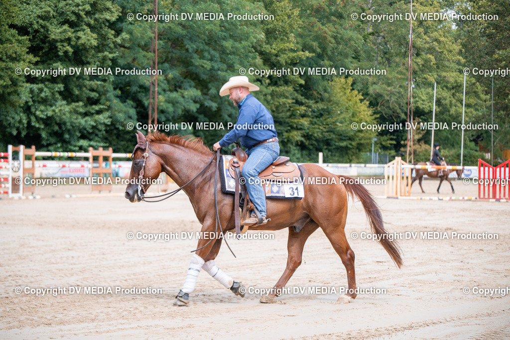 ZS3_5344 | dv-media-shop - Realisiert mit Pictrs.com