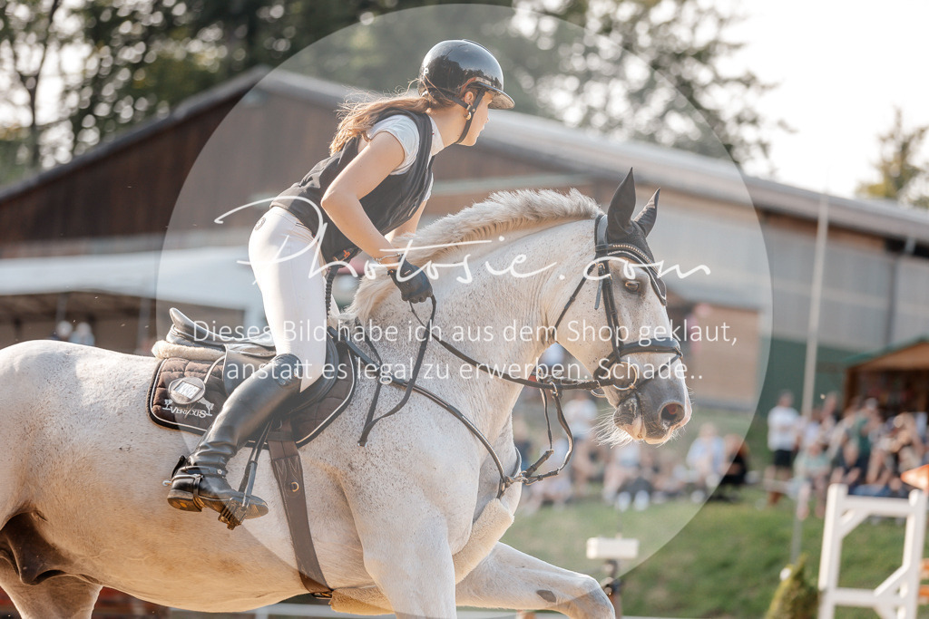 3I6A5229 | Stimmungsvolle Portraits und Reitsportfotografie im Ruhrgebiet und im Münsterland.

Pferdefotografie, Hundefotografie, Tierfotografie, Reportagen, Portraits von Tier und Mensch, Turnierfotografie in Bochum, Recklinghausen, Marl, Haltern am See, Dülmen.. - Realisiert mit Pictrs.com