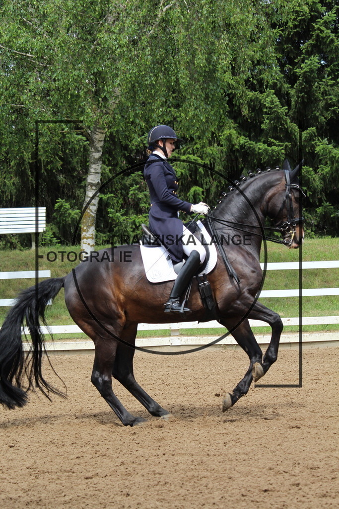 IMG_8215 | franziskalange - Realisiert mit Pictrs.com