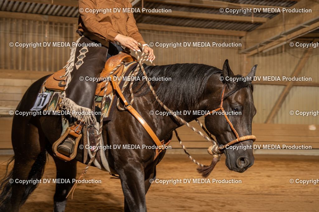 NID03645 | dv-media-shop - Realisiert mit Pictrs.com