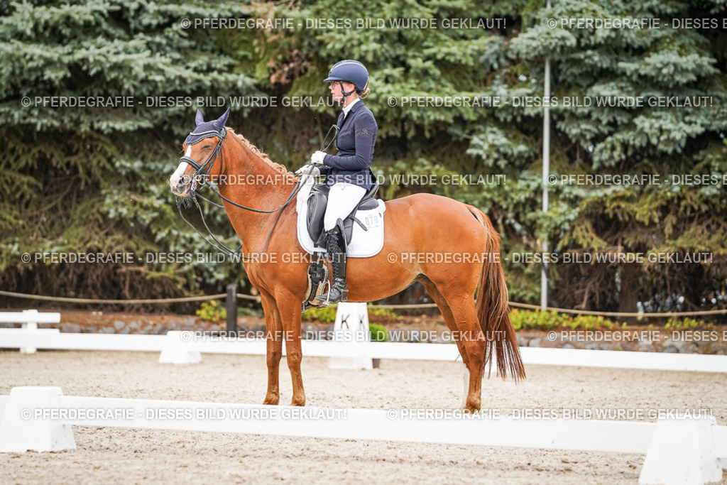 DSC07118 | Pferdegrafie