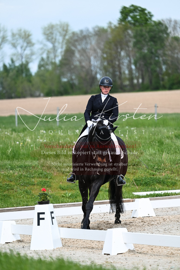 20230513_JK-Röhrsdorf-12-239-2 | Pferde- und Turnierfotografie in Westsachsen. Pferdeportraits, Auftragszeichnungen und intuitive Kunst.
