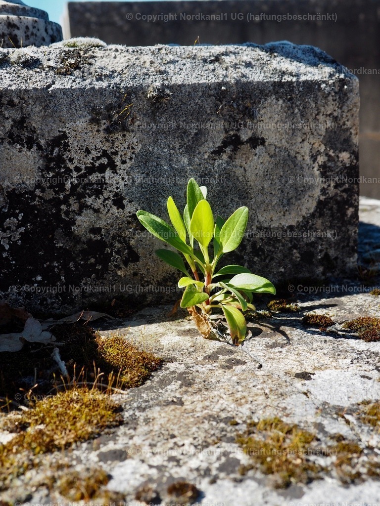 IMG_2877 | OLYMPUS DIGITAL CAMERA          - Realisiert mit Pictrs.com