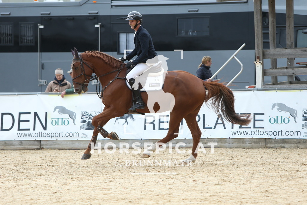 DL2Q1485 | Willkommen bei Brunnmayr - Design & Fotografie – Ihrem Spezialisten für Reitturniere und Pferdeveranstaltungen in Oberösterreich, Salzburg und Bayern! Seit über 17 Jahren sind wir leidenschaftlich dabei.