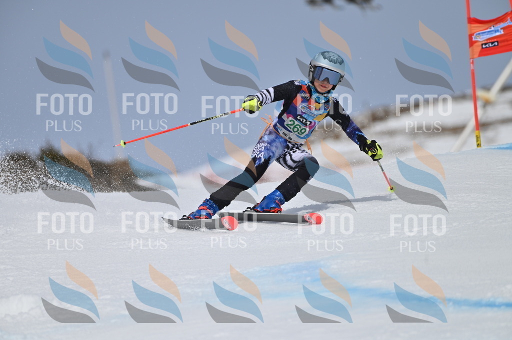 BGV_5319 | holidayphoto