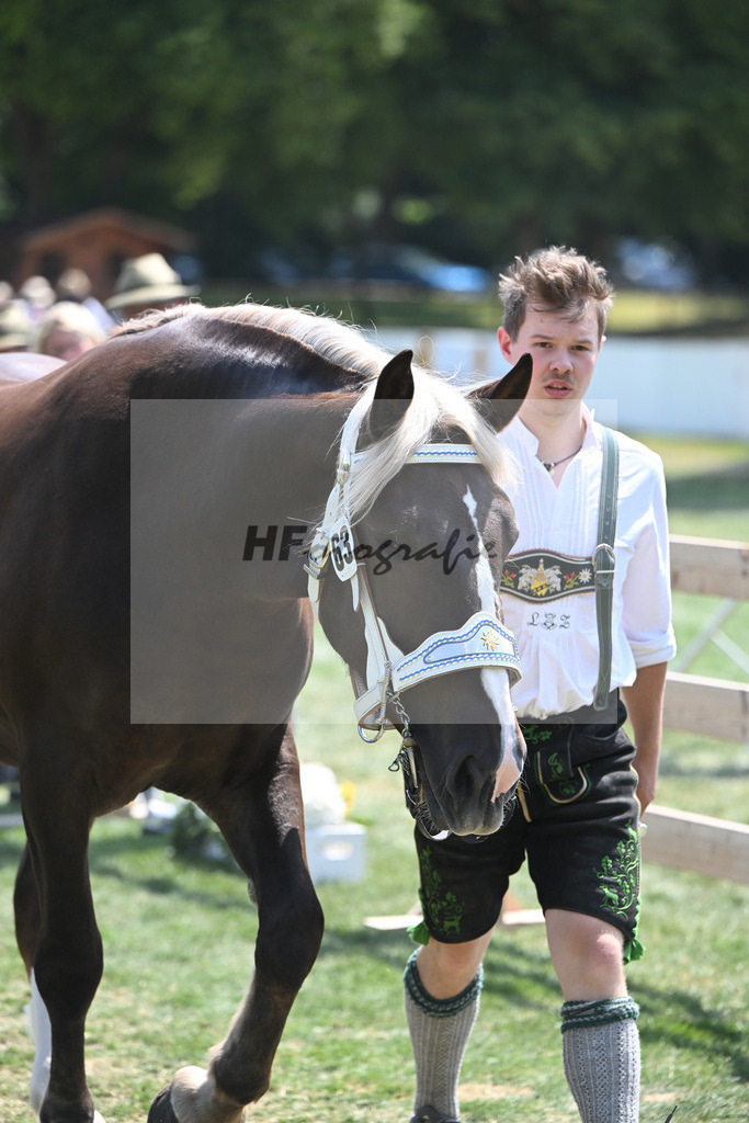 Kat-Nr. 63 Isar_Zwickl_20231027 | hf-fotografie - Realisiert mit Pictrs.com