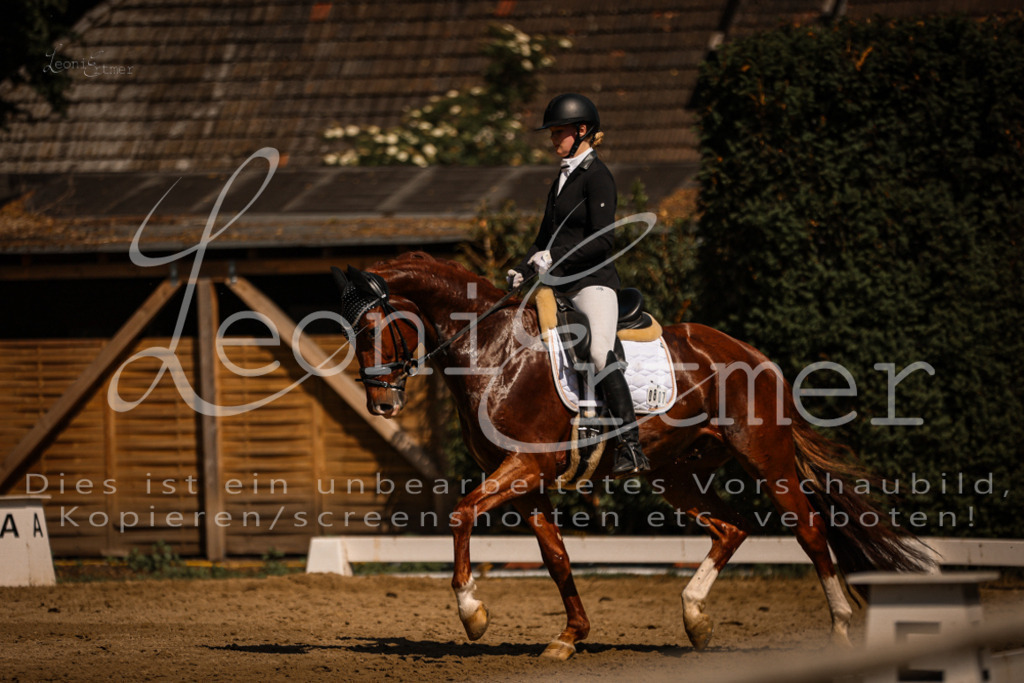 07.FrDrPA00384 | Leoni Ertmer Photography - Realisiert mit Pictrs.com