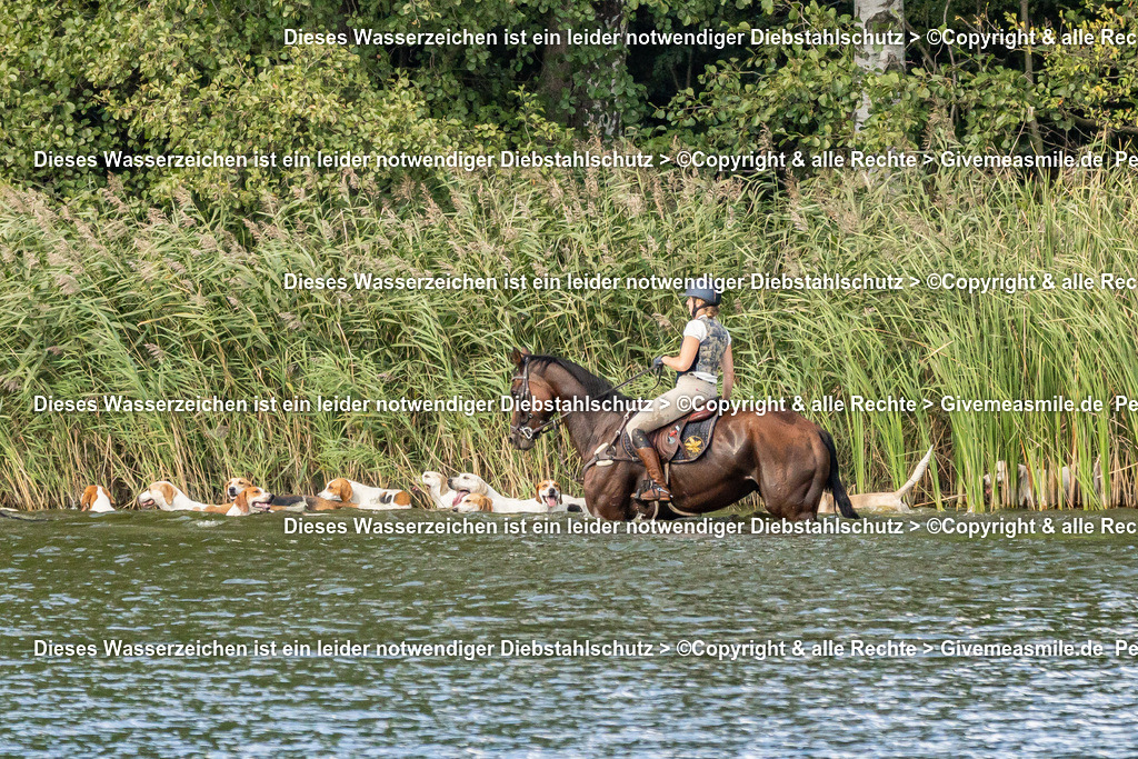 DSC05324 | Eventfotografie, Hochzeitsreportagen, Getting ready, Engagement, Hochzeitsfotograf, Paarfotografie, Porträts Mensch und Tier, Schleppjagden, Jagdfotos, Musicals, Konzerte, Back stage + Front of stage Reports, Tourbegleitung