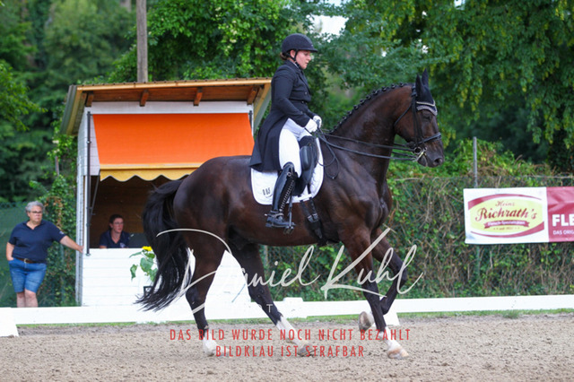 DKP41509 | Turniersportfotografie; Pferdefotografie; Dressurfotografie