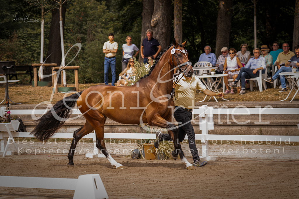 4.Fr00004 | Leoni Ertmer Photography - Realisiert mit Pictrs.com