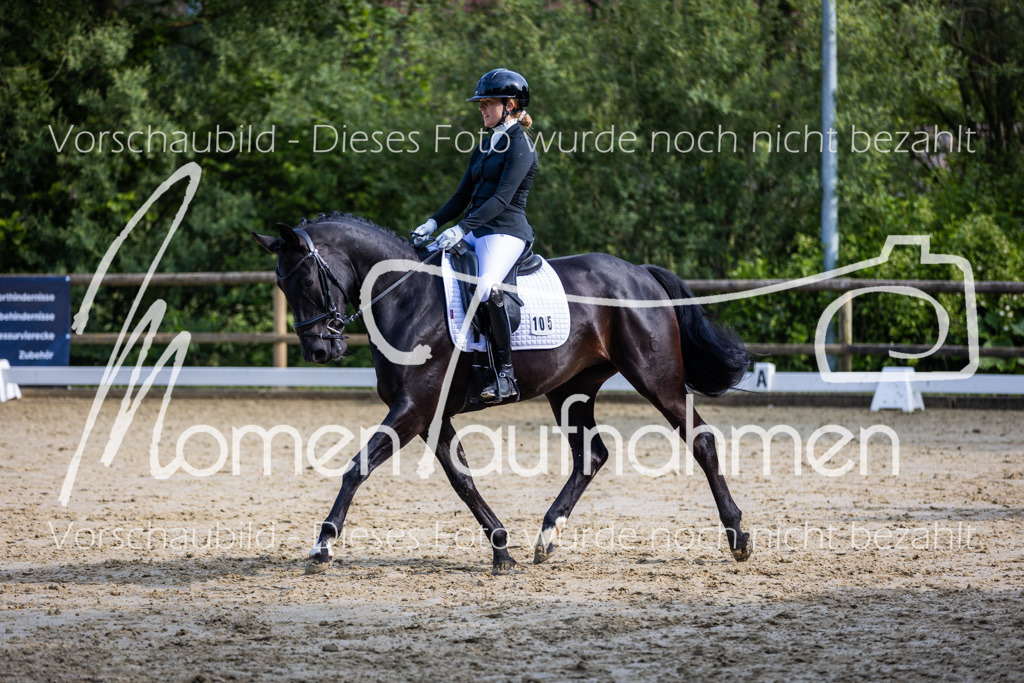 Donop24-A-Dre-111 | MomenTaufnahmen Pferdesportfotos