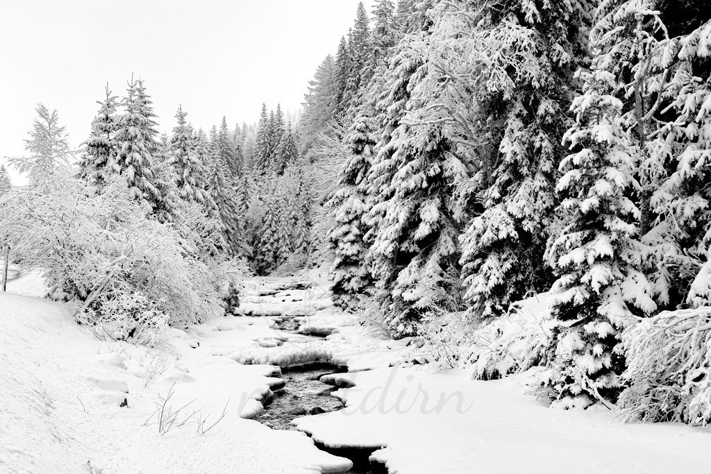 Bundschuhbach | Ihre Fotografin im Lungau, ihre Fotografin im Mostviertel, Wandbilder Onlineshop, Imagefotos für Ihr Unternehmen,  - Realisiert mit Pictrs.com