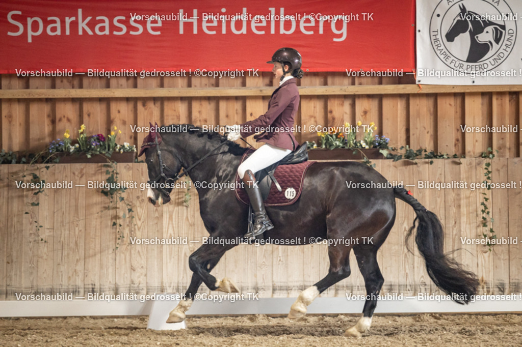 _D5A1280 | Emotionale Pferde- & People-Fotografie rund um Heidelberg, Leimen & Umgebung. Natürliche Fotos von Pferd, Mensch & Familie. Jetzt Termin sichern!