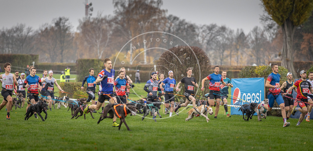 CaniXpix_DV3A9448 | Hundefotografie, Tierfotograf, Pfotenfotografie, Fotoshooting Hund, Hunde Portrait, Hundesport, Hundeportraits, Heideshooting, Hunde, Sportfotograf, Hundefotograf, Turnierhundsport, THS,  - Realisiert mit Pictrs.com