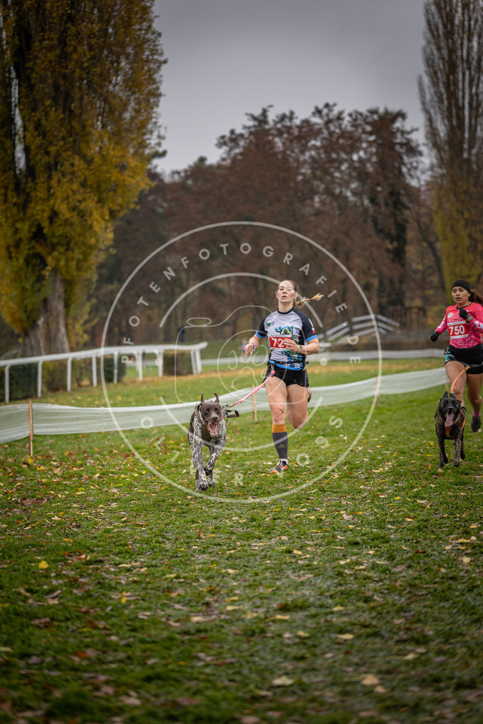 CaniXpix_DV3A9312 | Hundefotografie, Tierfotograf, Pfotenfotografie, Fotoshooting Hund, Hunde Portrait, Hundesport, Hundeportraits, Heideshooting, Hunde, Sportfotograf, Hundefotograf, Turnierhundsport, THS,  - Realisiert mit Pictrs.com