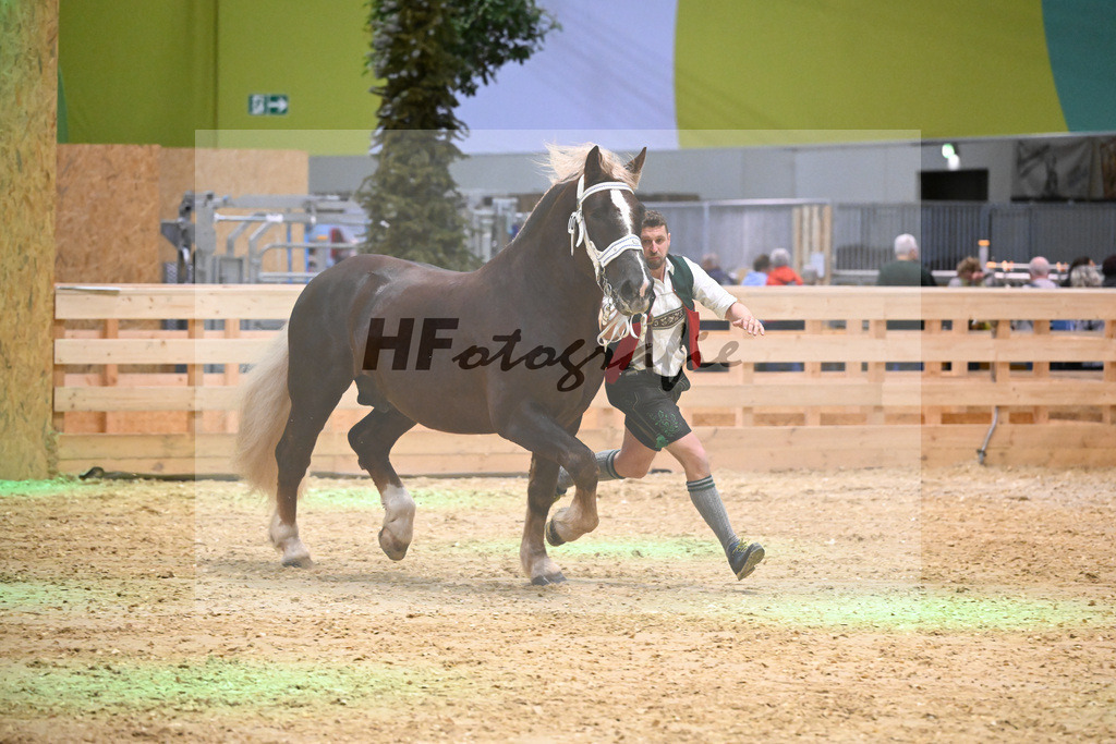 Kat-Nr. 10 Vlado v. Verry_Kotz_1260174 | hf-fotografie - Realisiert mit Pictrs.com