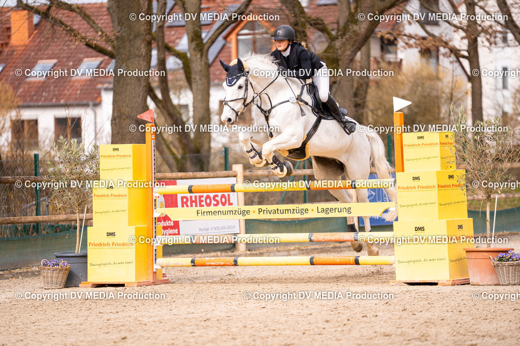 Kranichstein Tag 2-372 | dv-media-shop - Realisiert mit Pictrs.com