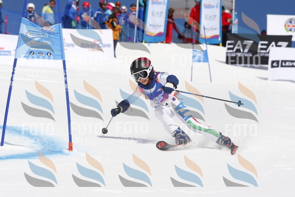 _W1G1092 | holidayphoto