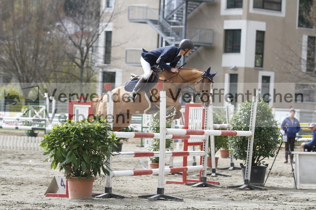 _MG_8339 | equestrian-live-com