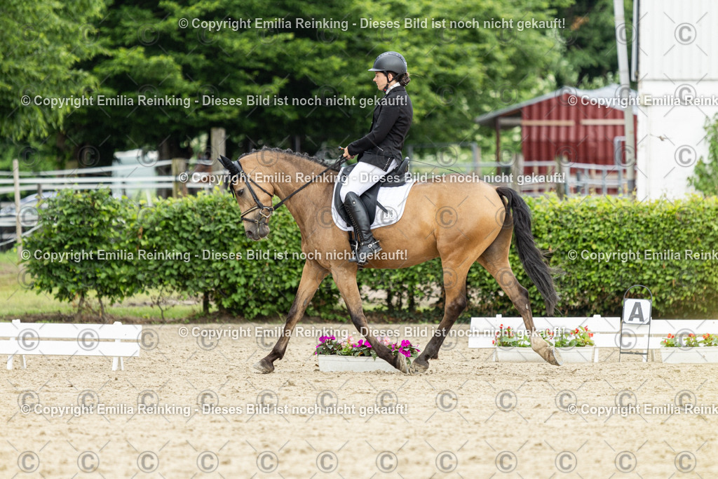 CL5A1041 | Emilia Reinking Fotografie - Realisiert mit Pictrs.com