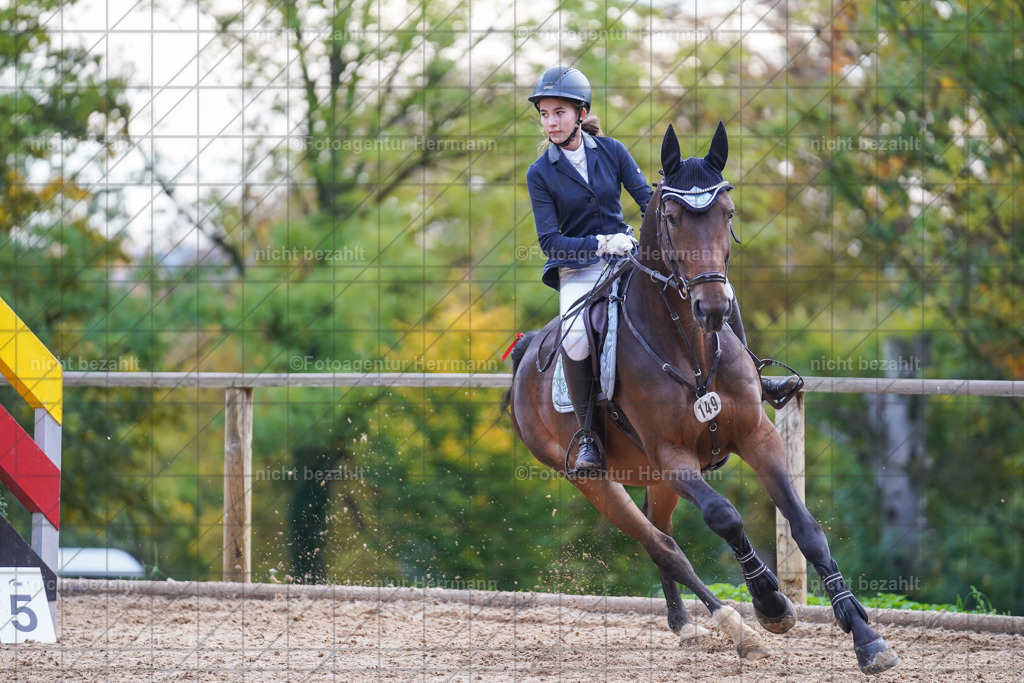 20221009-FAH08283 | Diessen am Ammersee, 2022, Dressur- und Springturnier, Reitsportbilder, Turnierfotografen Bayern, Pferdefotografen, Fotoagentur Herrmann, Turnierbilder