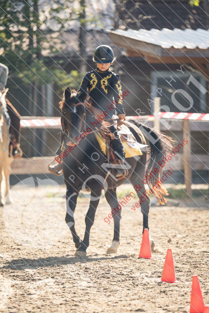 IMG_6352 | Sport-, Event- und Tierfotos in Profiqualität. Einfach auswählen, bestellen und herunterladen. Dein Moment – perfekt festgehalten.
