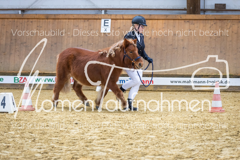 Sth-WBO25-Führ-WB-065 | MomenTaufnahmen Pferdesportfotos