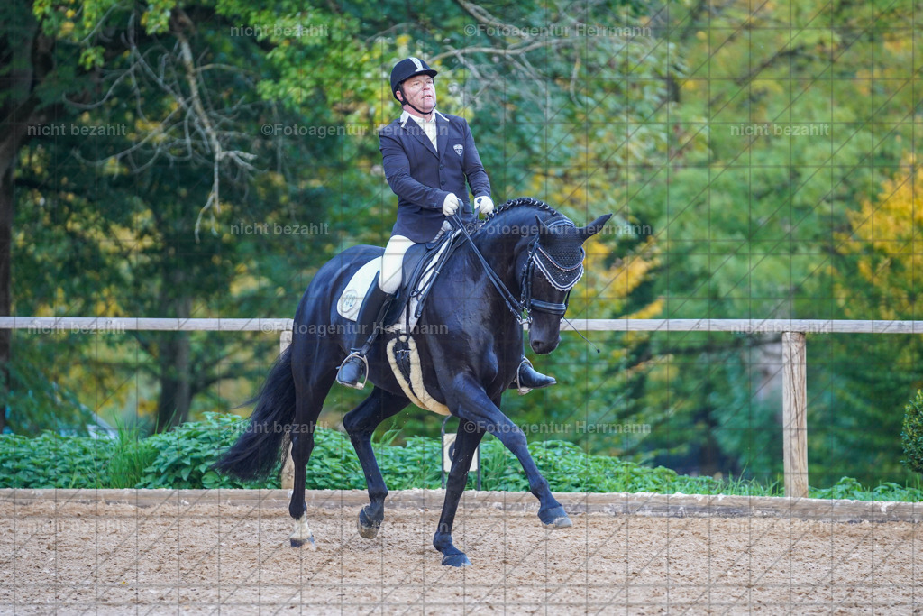 20221007-FAH00603 | Diessen am Ammersee, 2022, Dressur- und Springturnier, Reitsportbilder, Turnierfotografen Bayern, Pferdefotografen, Fotoagentur Herrmann, Turnierbilder