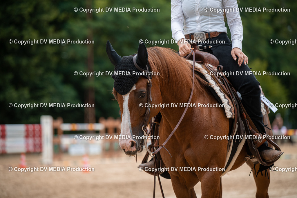 ZS2_8624 | dv-media-shop - Realisiert mit Pictrs.com