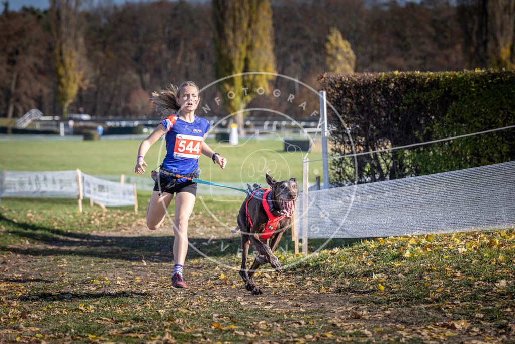 CaniXpix_DV3A8412 | Hundefotografie, Tierfotograf, Pfotenfotografie, Fotoshooting Hund, Hunde Portrait, Hundesport, Hundeportraits, Heideshooting, Hunde, Sportfotograf, Hundefotograf, Turnierhundsport, THS,  - Realisiert mit Pictrs.com