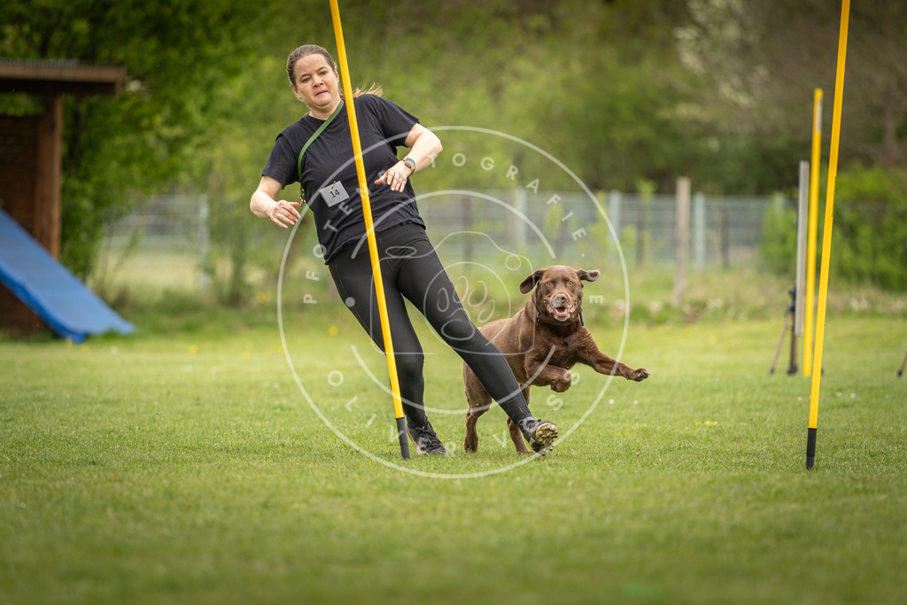 Pfotenfotografie_DV3A9371 | Hundefotografie, Tierfotograf, Pfotenfotografie, Fotoshooting Hund, Hunde Portrait, Hundesport, Hundeportraits, Heideshooting, Hunde, Sportfotograf, Hundefotograf, Turnierhundsport, THS,  - Realisiert mit Pictrs.com