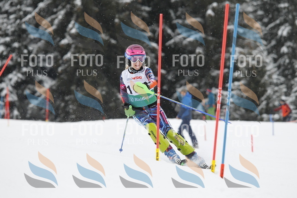 A1564 | holidayphoto