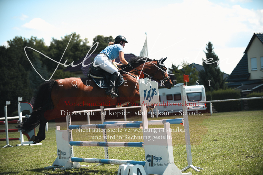 DSC_7151 | Pferde- und Turnierfotografie in Westsachsen. Pferdeportraits, Auftragszeichnungen und intuitive Kunst.
