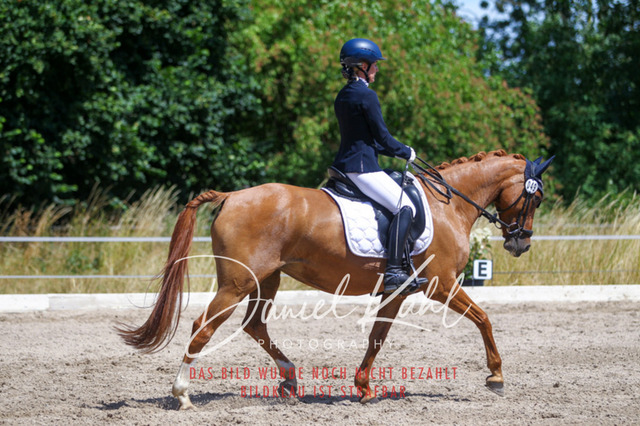 DKP46492 | Turniersportfotografie; Pferdefotografie; Dressurfotografie