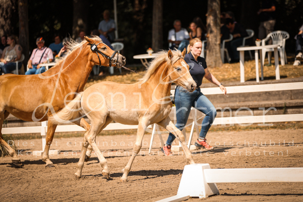 06.DoH00033 | Leoni Ertmer Photography - Realisiert mit Pictrs.com