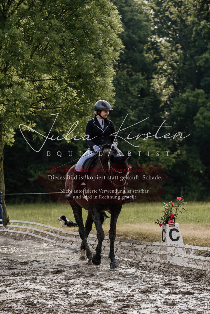 DSC_8560 | Pferde- und Turnierfotografie in Westsachsen. Pferdeportraits, Auftragszeichnungen und intuitive Kunst.
