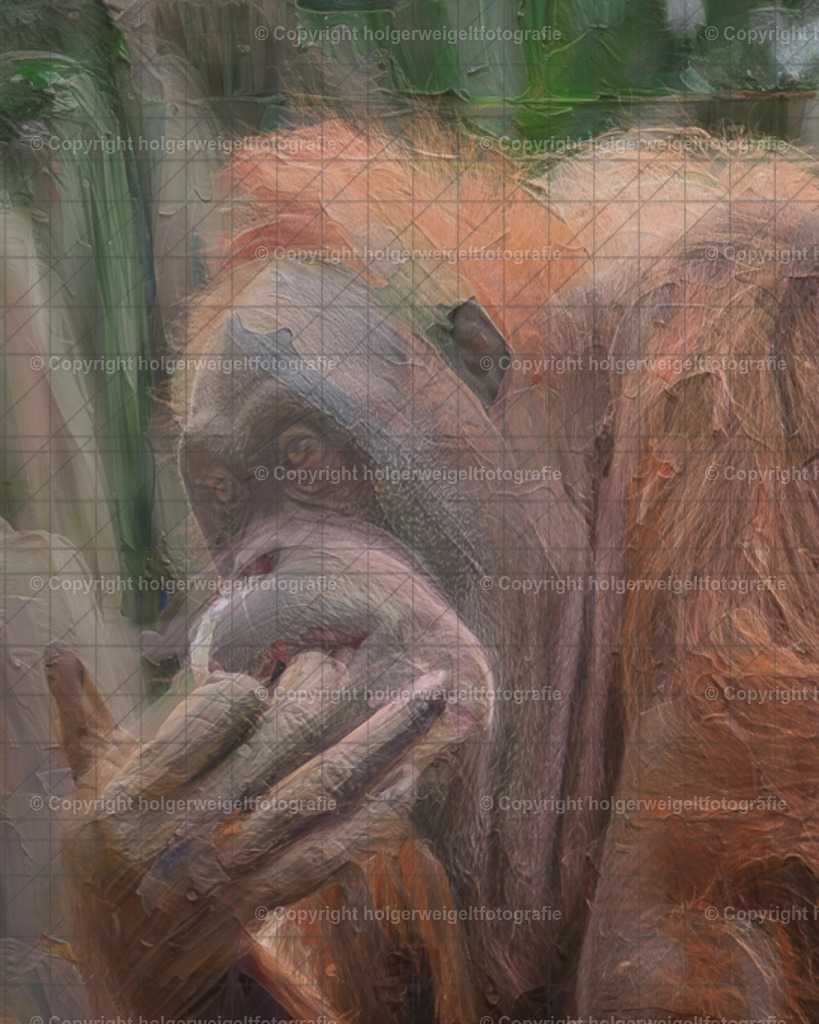 D75_9881-Verbessert-RR-Bearbeitet | Kaufen sie online außergewöhnliche Fotografien auf Leinwand Acrylglas Fotoprint Aludibond von holgerweigeltfotografie - Realisiert mit Pictrs.com